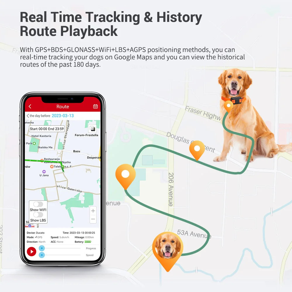 4G GPS-Tracker Cosypaws™ – Echtzeit-Ortungshalsband für Hunde und Katzen