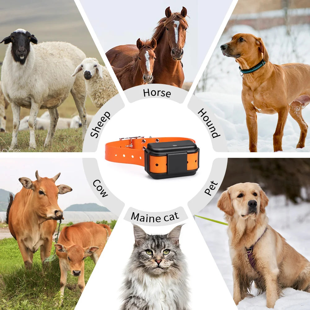 4G GPS-Tracker Cosypaws™ – Echtzeit-Ortungshalsband für Hunde und Katzen