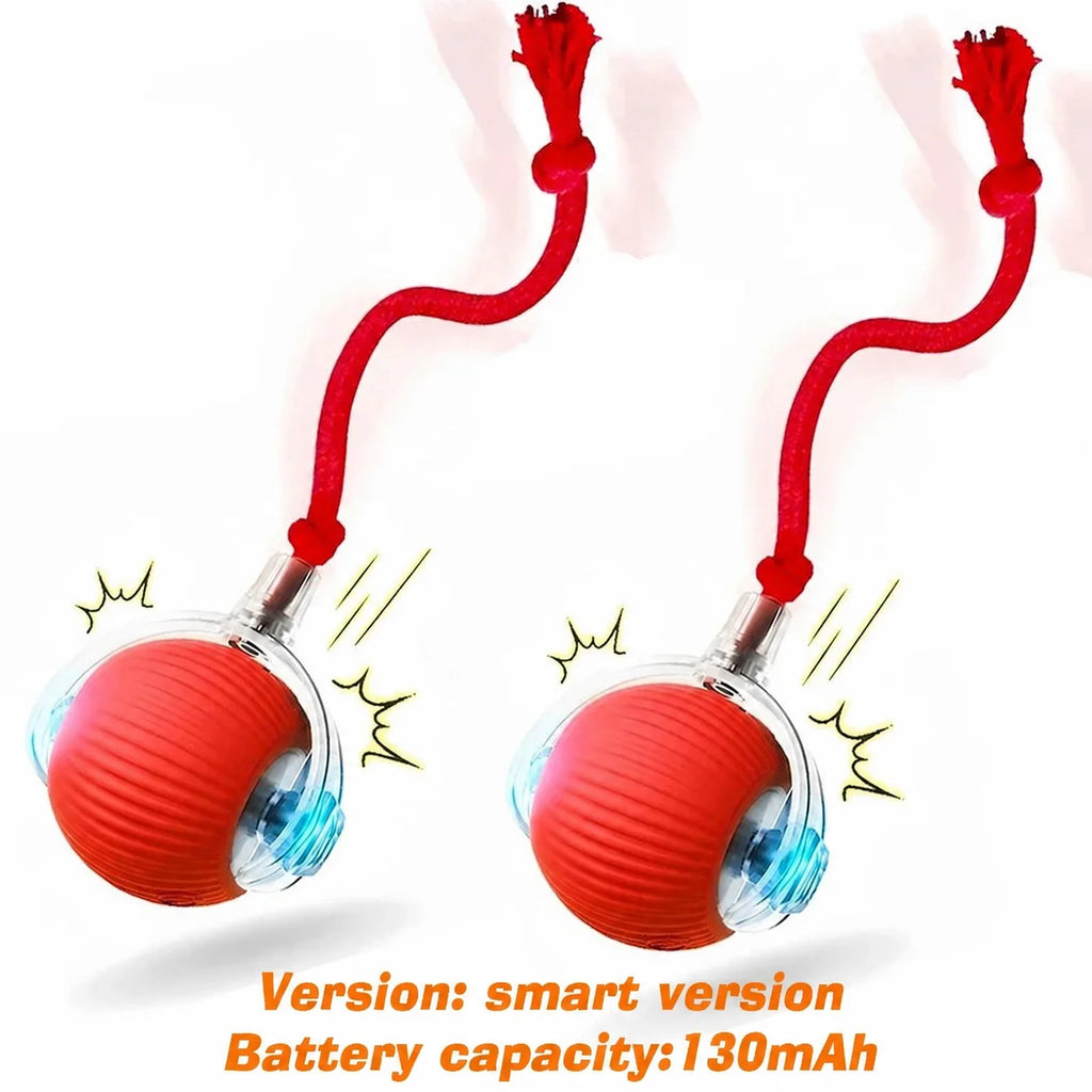 Cosypaws™ Interaktiver Automatikball – Wiederaufladbares Spielzeug für Hunde & Katzen