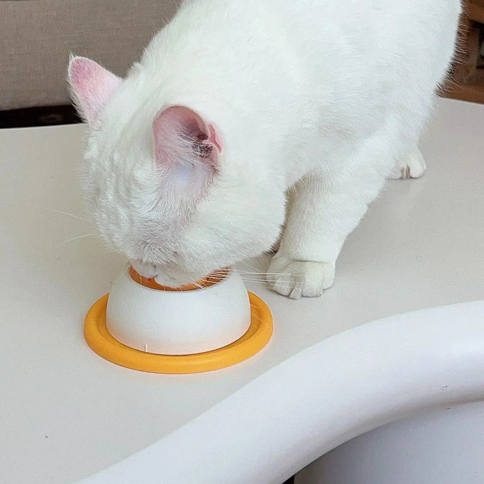 Cosypaws™ Anti-Schlingnapf – Lecken für Hunde & Katzen