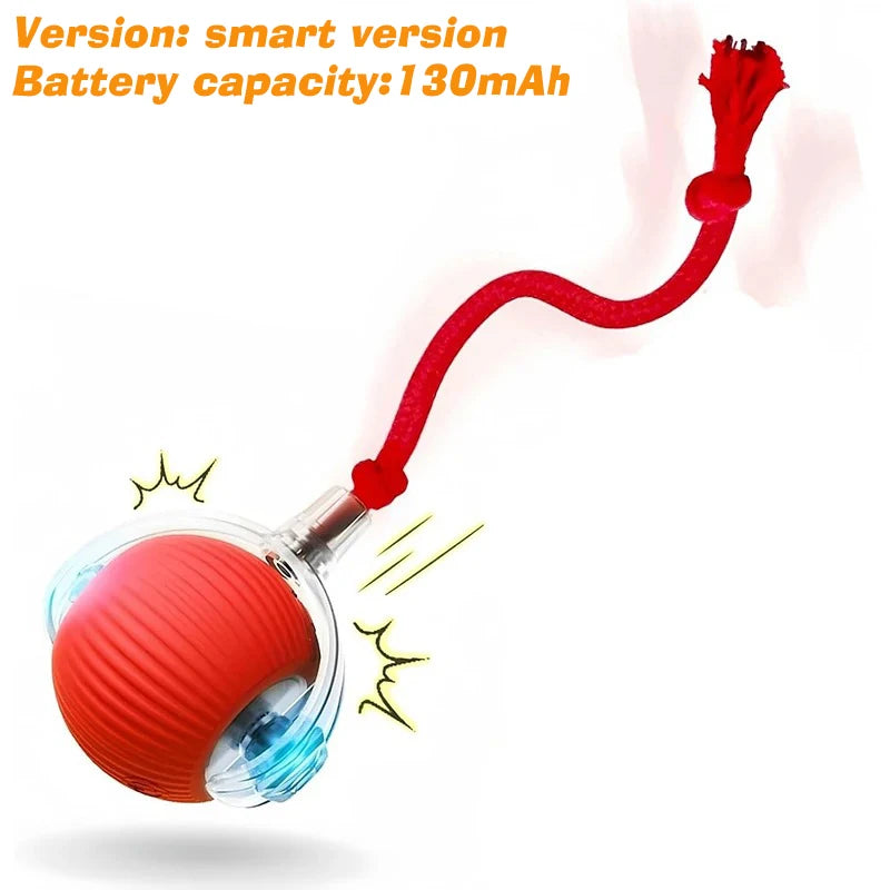 Cosypaws™ Interaktiver Automatikball – Wiederaufladbares Spielzeug für Hunde & Katzen
