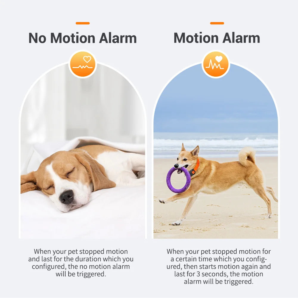 4G GPS-Tracker Cosypaws™ – Echtzeit-Ortungshalsband für Hunde und Katzen