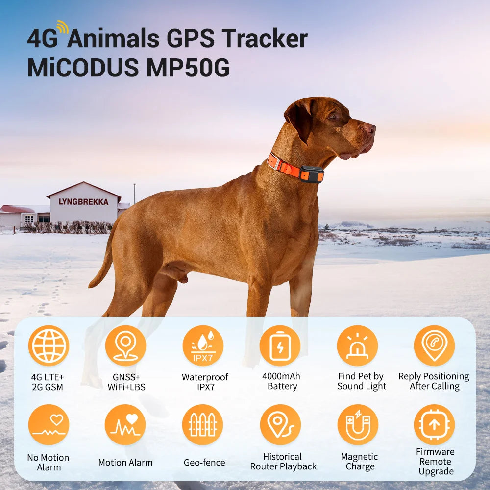 4G GPS-Tracker Cosypaws™ – Echtzeit-Ortungshalsband für Hunde und Katzen