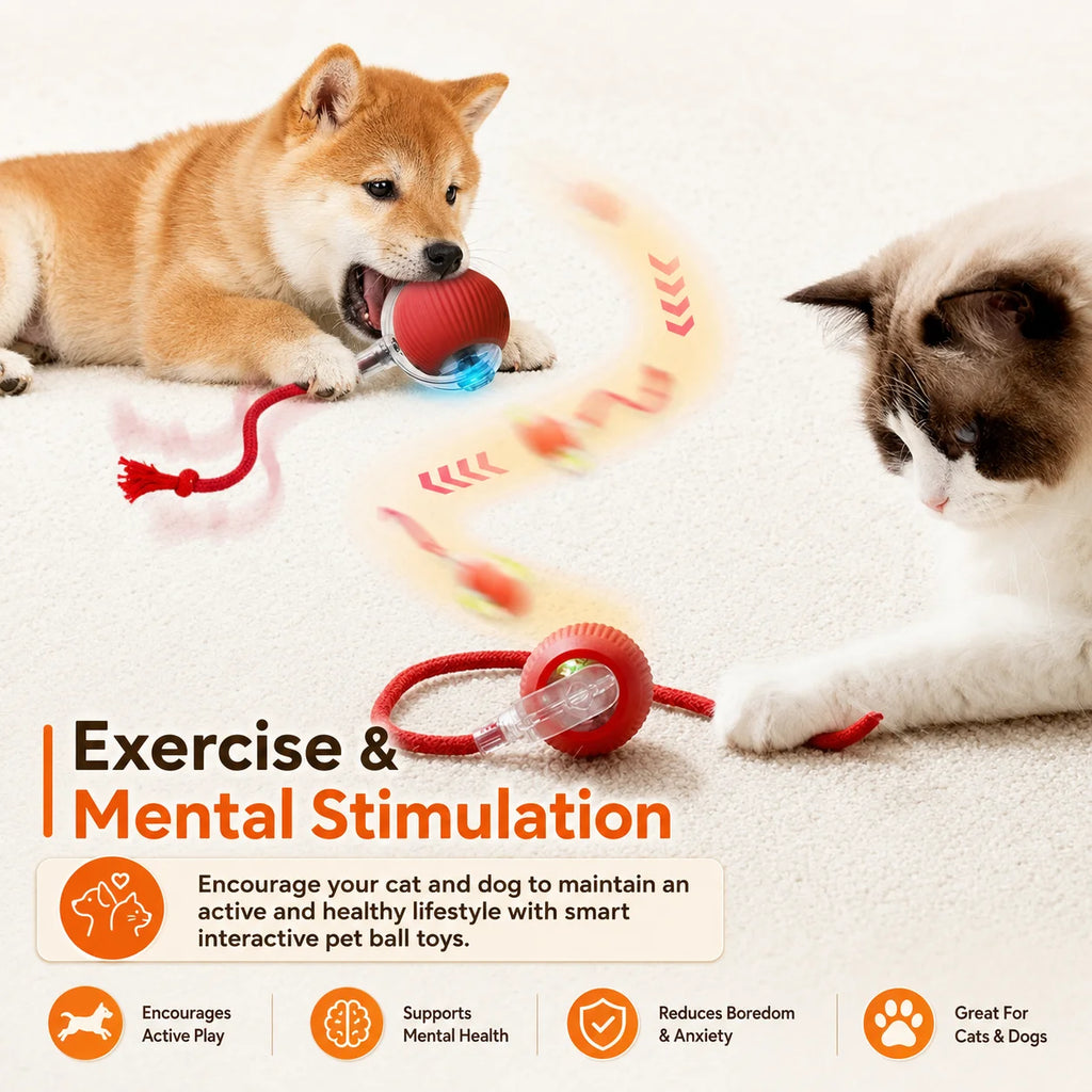 Cosypaws™ Interaktiver Automatikball – Wiederaufladbares Spielzeug für Hunde & Katzen