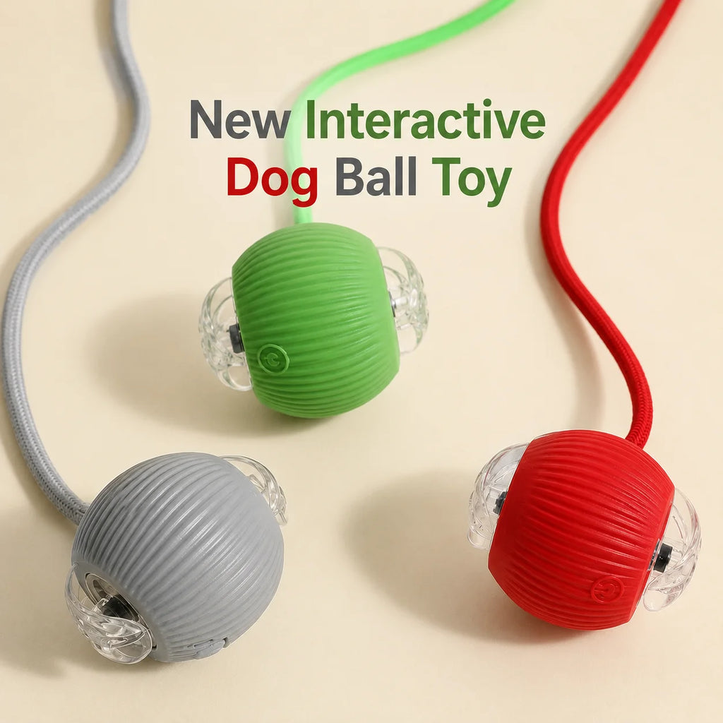 Cosypaws™ Interaktiver Automatikball – Wiederaufladbares Spielzeug für Hunde & Katzen